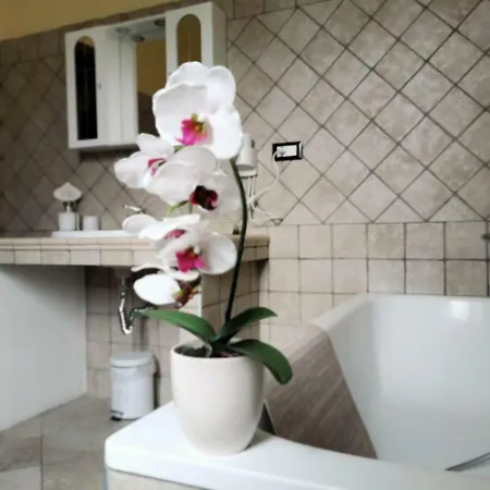 Bed & Breakfast Casina Del Caffe Dello Sport *
